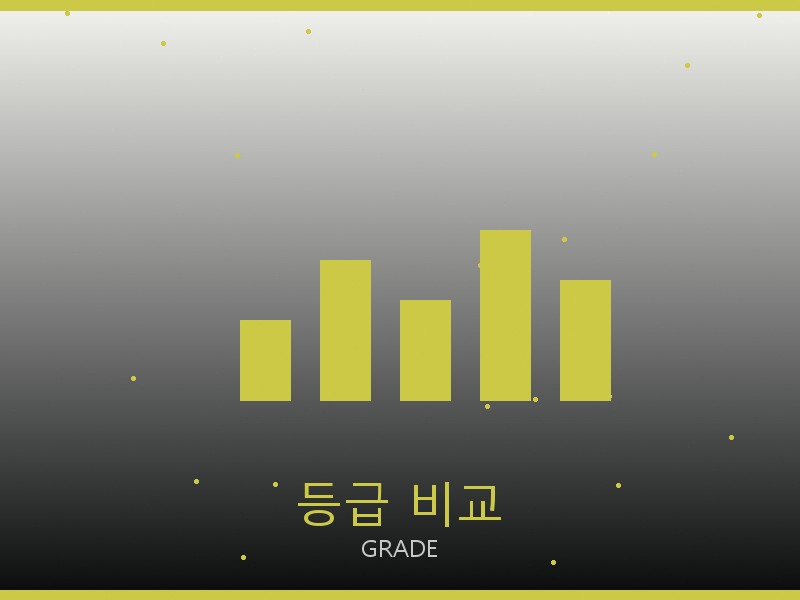 그라프 레플리카 사이트 등급 기준 비교
